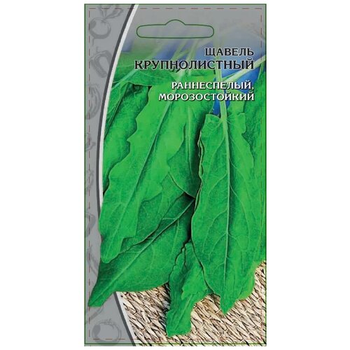 ���� ������ ���� ��������� ������ �������������, 1 � ������ ������