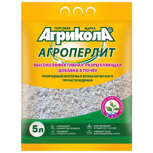 ���� ���������� ��������, 5 � ������ ������