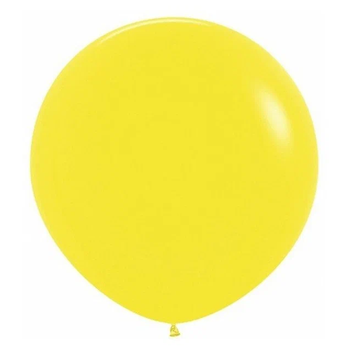 ���� ����� ��������� XXL ��������, ������ 100 �� ������ ������