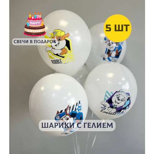 ���� ��������� ���� � ������ (�������) 