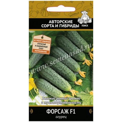 ���� ������ ����� ������ ������ F1 12 ��., 10 ��. ������ ������