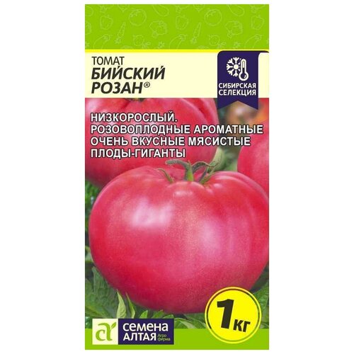 ���� ������ ������ 