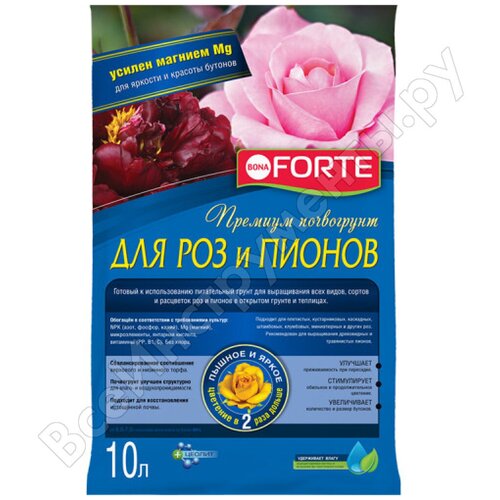 ���� ����� ��� ��� � ������ 10�, Bona Forte ������ ������