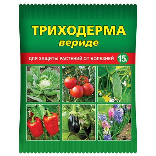 ���� ����������� ���������� ������ ���� ��������� 15 � ������ ������