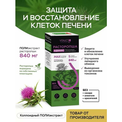 ���� ���������� ������ ������� 250 ��, ������ ������ ������ ������