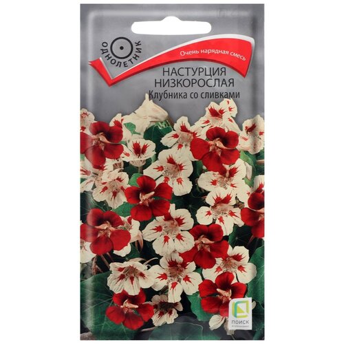 ���� ������ ����� ��������� ����������� �������� �� �������� 1 � ������ ������