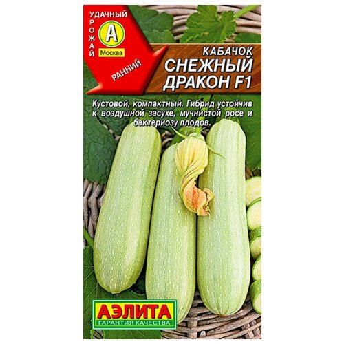 ���� ������. ������� ����������� 