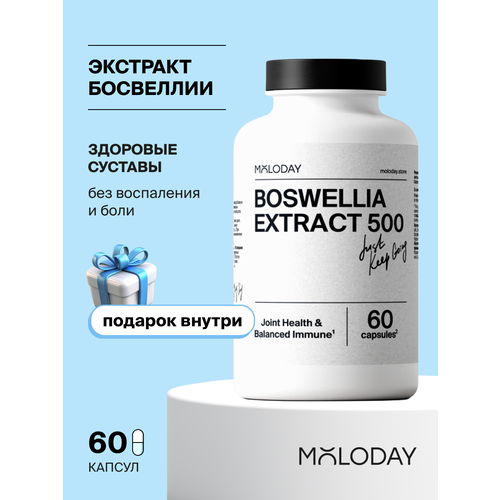 ���� �������� �������� MOLODAY, 60 ������, ��� �������� � ���������� ������ ������
