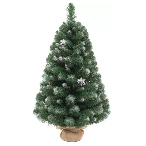 ���� ��� ������������� �������� ������� �������� �����������, 60 �� ������ ������