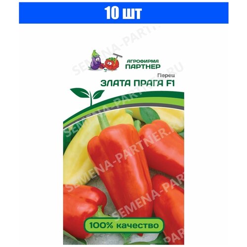 ���� ������ ����� 