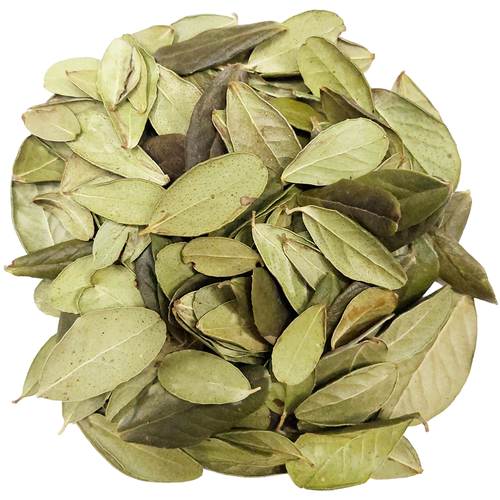 ���� ��������, ������ 20�. ������ ������