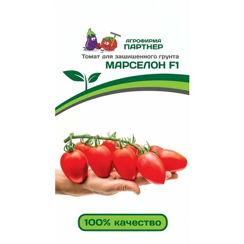 ���� ������ ������ ��������� ������� 