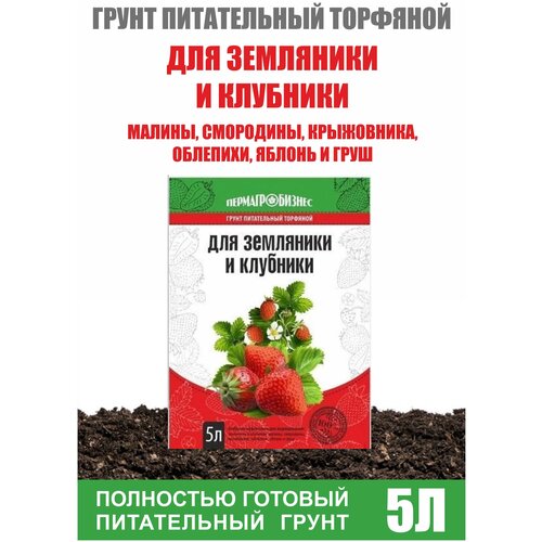 ���� ������ ��� ������� ����� ��� �������� ��������� 5� ������ ������