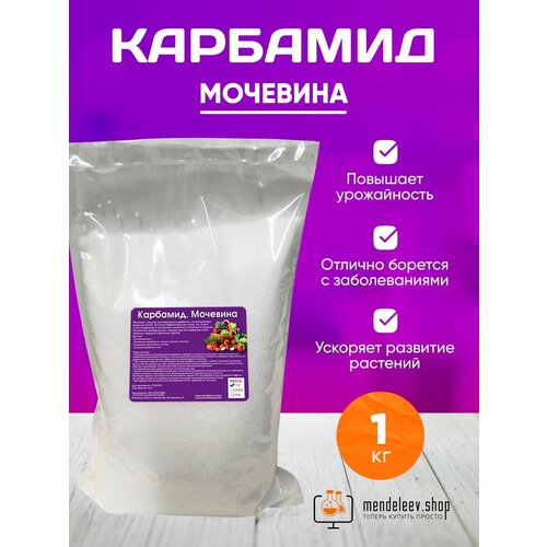 ���� �������� �������� ��� ���� � ������� 1 �� ������ ������