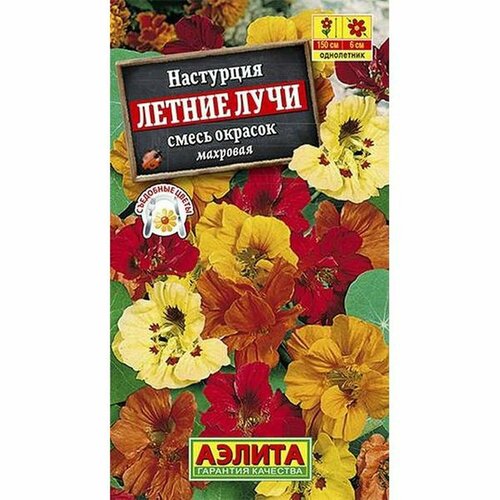 ���� ������ ��������� ������ ���� ��������, �����, ����������, (������) 1� ������ ������