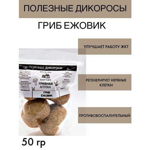 ���� ���� ������ ������ ������