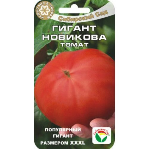 ���� ������ ����� ������ �������� 20�� ����� (��������� ���) XXXL ������ ������