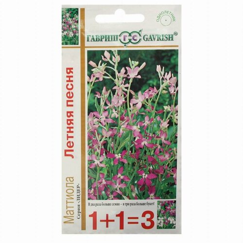 ���� ������ ������ (��������) ������ ����� �������� 0,6� ��� 50�� (������) 1+1 ������ ������