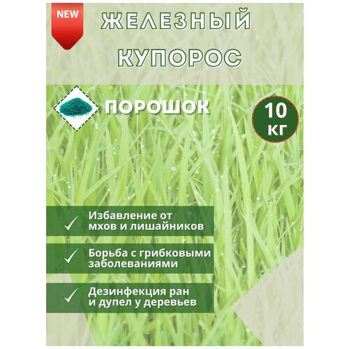 ���� �������� �������, 10�� . ��������������� �������� ��� ������ �������� �� �������� � ���������� ������ ������