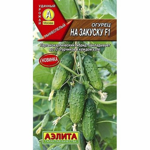 ���� ������ ������ �� ������� F1 (������������������) (������) 10�� ������ ������