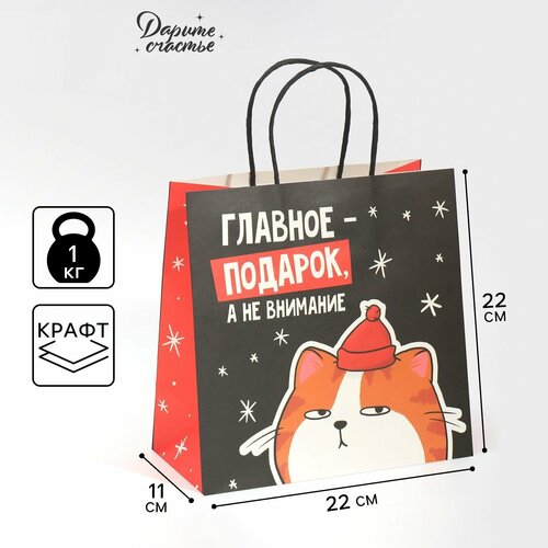 ���� ����� ���������� ��������, 22 � 22 � 11 ��, ����� ��� ������ ������