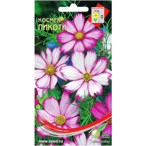 ���� ������ ������, 50 ����� ������ ������