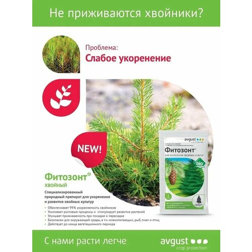 ���� �������� ������� 1�� � 5 ��������/ �������� ��� ���������� ������� ����� (������) ������ ������