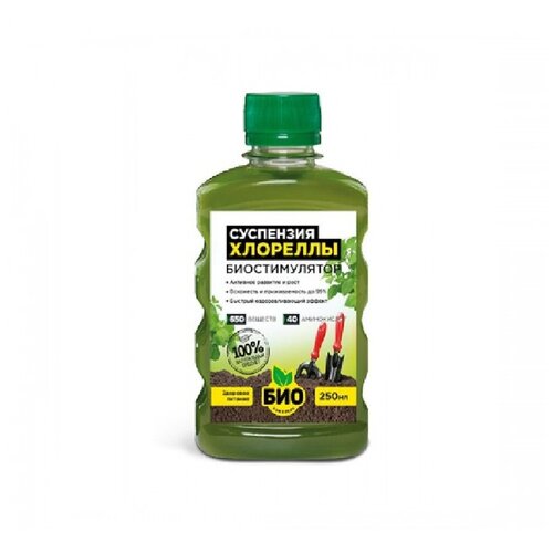 ���� ��������� ���-�������� ��������� ��������, 0.25 �, 280 �, 1 ��. ������ ������