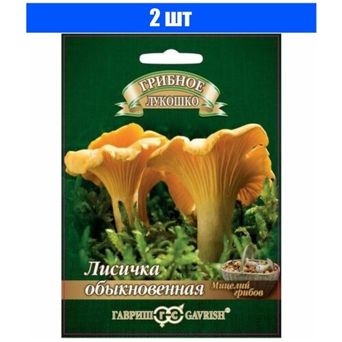 ���� ������ ������� ������� ������� �� �������� ��������� 15 ��, 2 ��. ������ ������