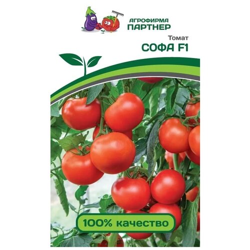 ���� ������ ����� ���� F1 /��������� �������/ 1 �������� , ������ 0,05 � ������ ������