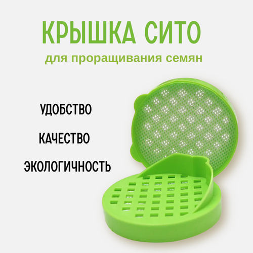 ���� �������� ���� ������������� ������-���� ���� ���� 5 ��. ������ ������