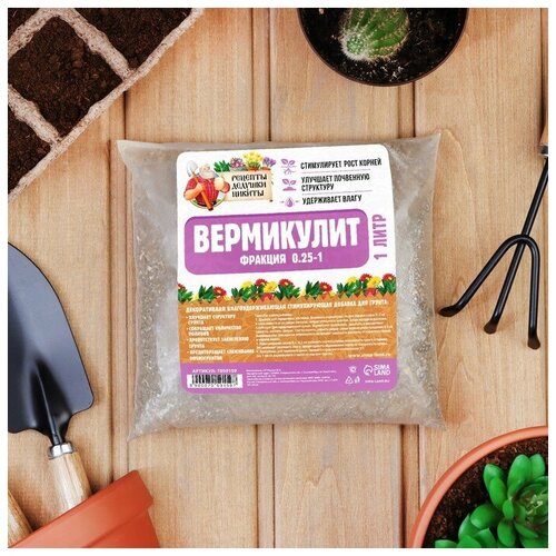 ���� ���������� 