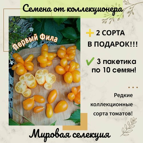 ���� ����� ������ ����, ������� �� ��������� �����, ������� ��������, ������������� ���� ������ ������