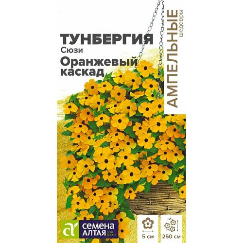 ���� ������ ������ ������ ����� 