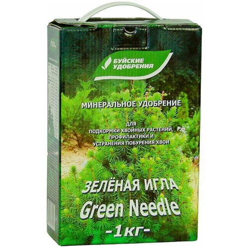 ���� ��������� ������� ��������� ������� ���� �� ��������� ����, 1000 �, 1 ��. ������ ������