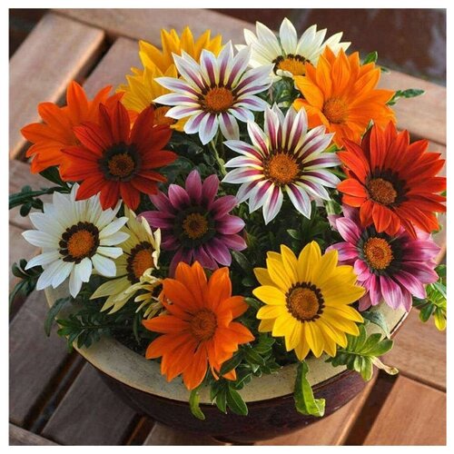 ���� ����������� ���������� - ������ ������ ������