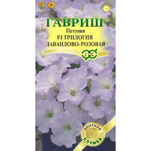 ���� ������ ������� �������� ��������� ������� F1 ��������� 4�� ��� 100�� (������) ������� ������ ������ ������