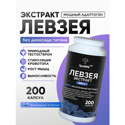 ���� �������� ������ ������� ������ ��������� 200�� 500 �� ������ ������