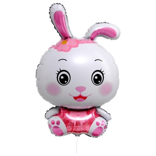 ���� ��������� ��� ������ ���������� 