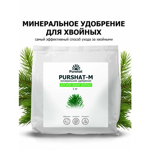 ���� ��������� ������ ��� ������� �������� 1 �� ������ ������