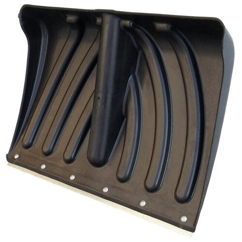 ���� ������ �������� 