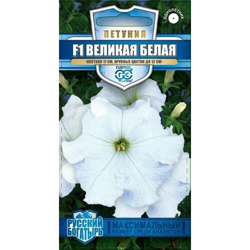 ���� ������ ������� ������� ����� F1 ��������������� 7�� ��� 17�� (������) ������� �������� ������ ������