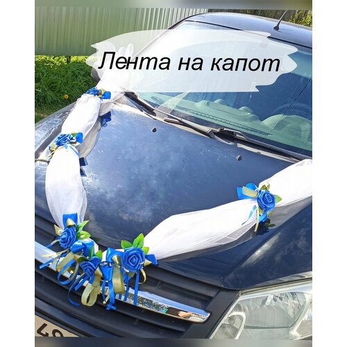 ���� ����� ��������� �� ������. ��������� �� ��������� ����������. ������ ������