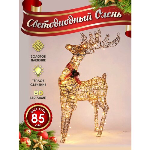 ���� ����� ���������� ������������ ���������� 80 �� ������� ������ ������