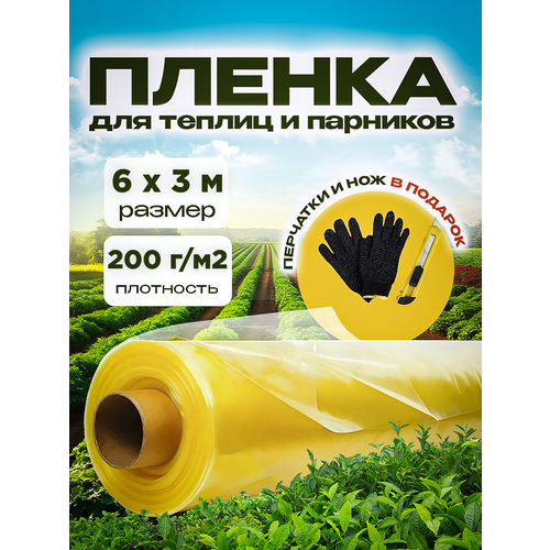 ���� ������ �������������� ��� ������ � �������� ���� 200��� 6�3� ������ ������