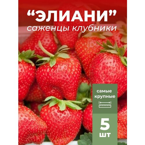 ���� �������� ����� ������������� ������ �������/��������� �������� 5 �� ������ ������