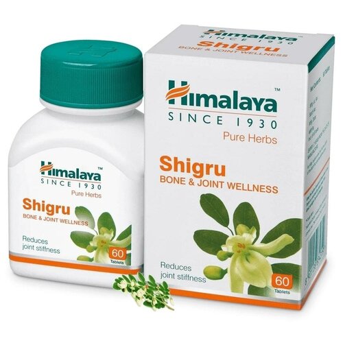 ���� ������� �������� ����� (Shigru) ��� ��������, ��� ������� � ����������, ��������������������� ��������, 60 ���. ������ ������