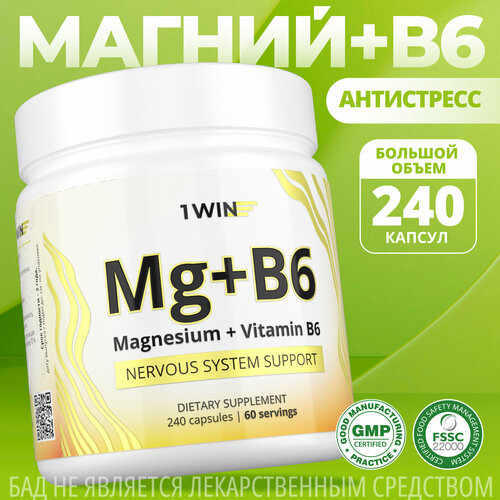  1WIN     6 ( 6),       , Magnesium Citrate, 240    -     , -, 