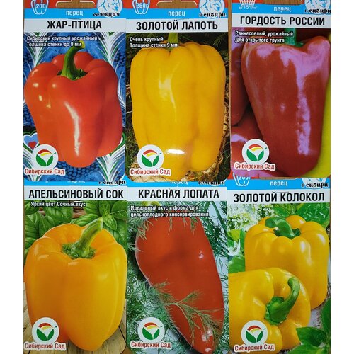 ���� ����� �� 6� ������, �������, ��������� ������ ����� �� �� ��������� ��� ������ ������