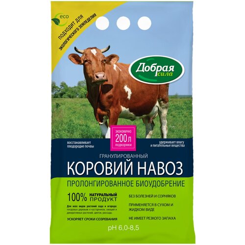 ���� ��������� ������ ���� ������� �����, 2 �, 2000 �, 1 ��. ������ ������